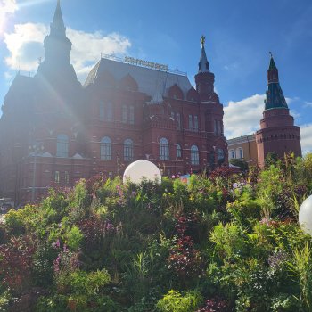 Полинкина Москва