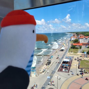 Вспоминая лето