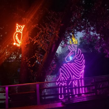 Тени незабытых предков