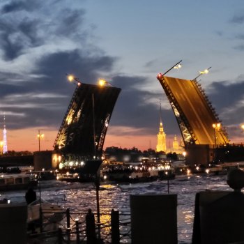 Фиби и белые ночи