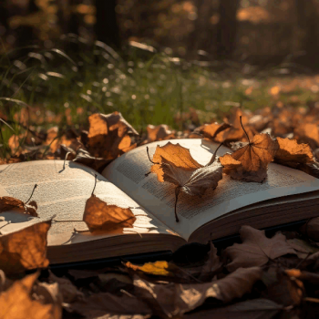 Дыша духами и туманами или Что делать с разочарованием