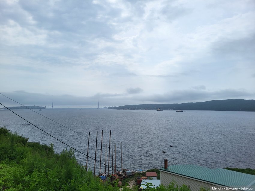 Любительница селфи-1. Какую кошку нельзя погладить:) (фото 3)