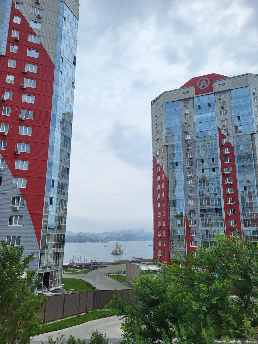 Любительница селфи-1. Какую кошку нельзя погладить:) (фото 5)