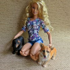 Кому нужны собачки?