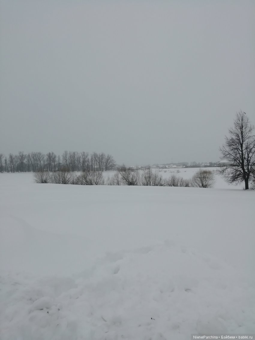 Зимняя прогулка. Приключения лиса Йёргена и такса Олли (фото 6)