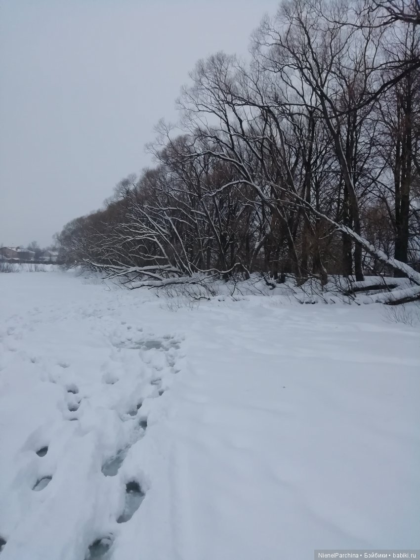 Зимняя прогулка. Приключения лиса Йёргена и такса Олли