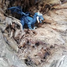 Забытый принц часть 3