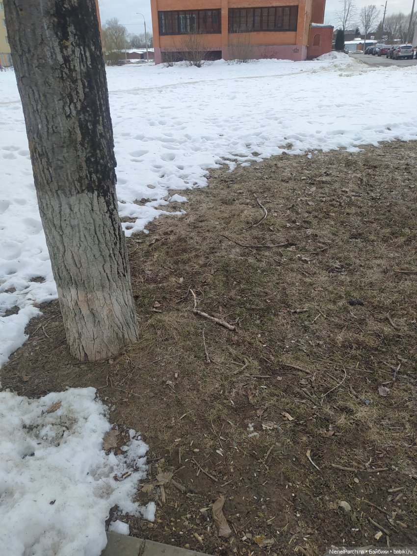 Йорген и Олли в походе — Домашние фото авторских игрушек: Тедди (фото 10)