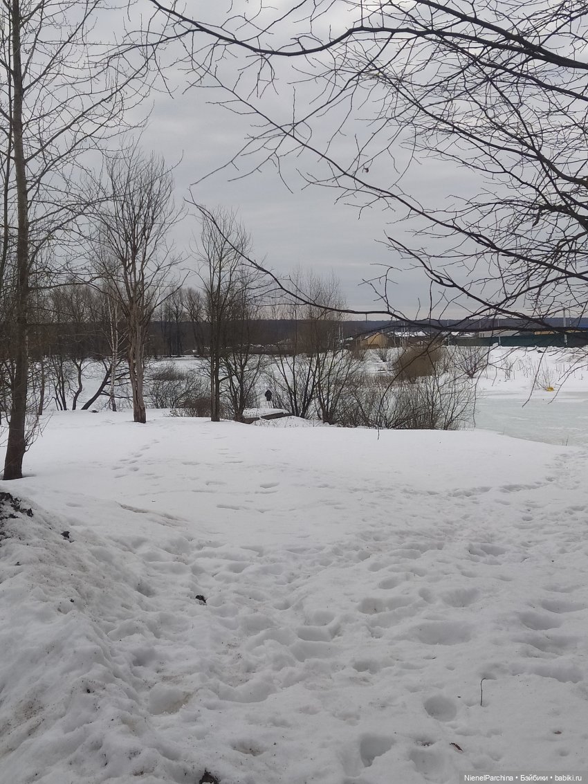 Йорген и Олли в походе — Домашние фото авторских игрушек: Тедди