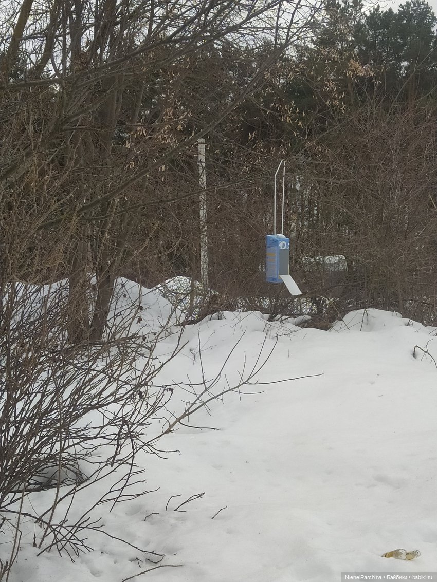 Йорген и Олли в походе — Домашние фото авторских игрушек: Тедди (фото 6)