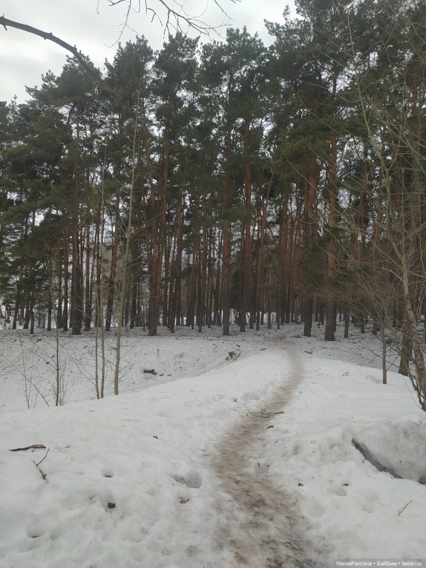 Йорген и Олли в походе — Домашние фото авторских игрушек: Тедди (фото 2)