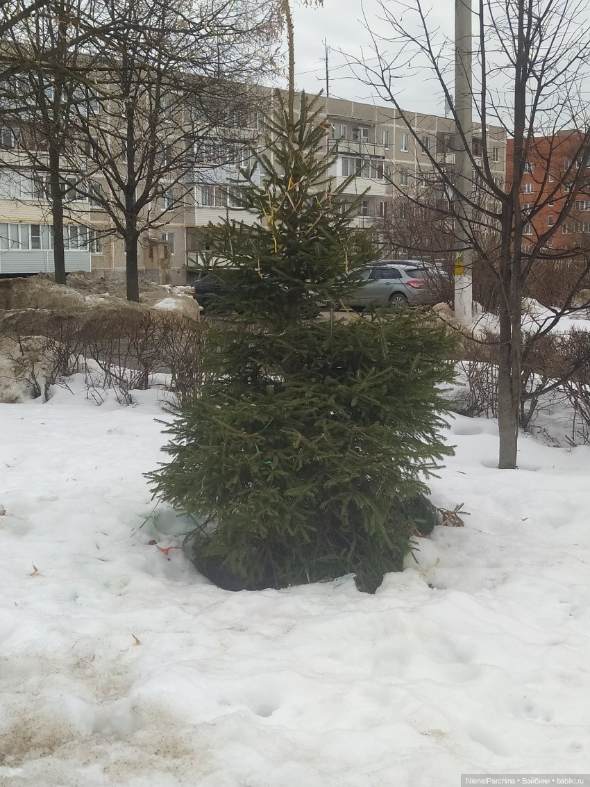 Йорген и Олли в походе — Домашние фото авторских игрушек: Тедди (фото 5)