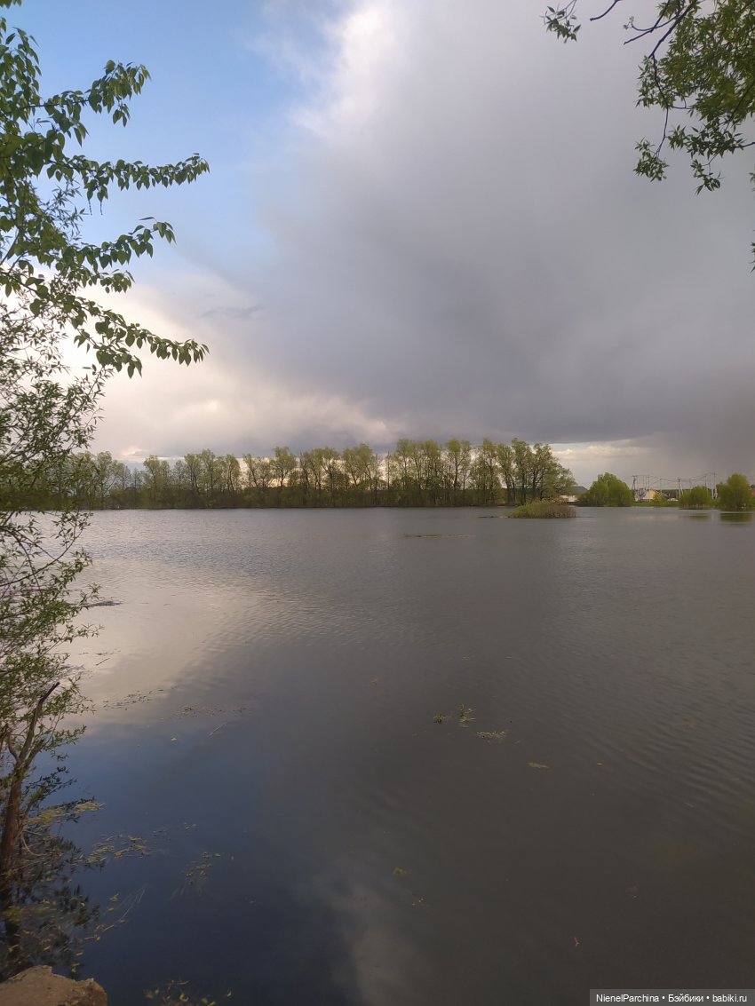 Ёсико и одуванчики, жёлтое, зелёное, май (фото 5)