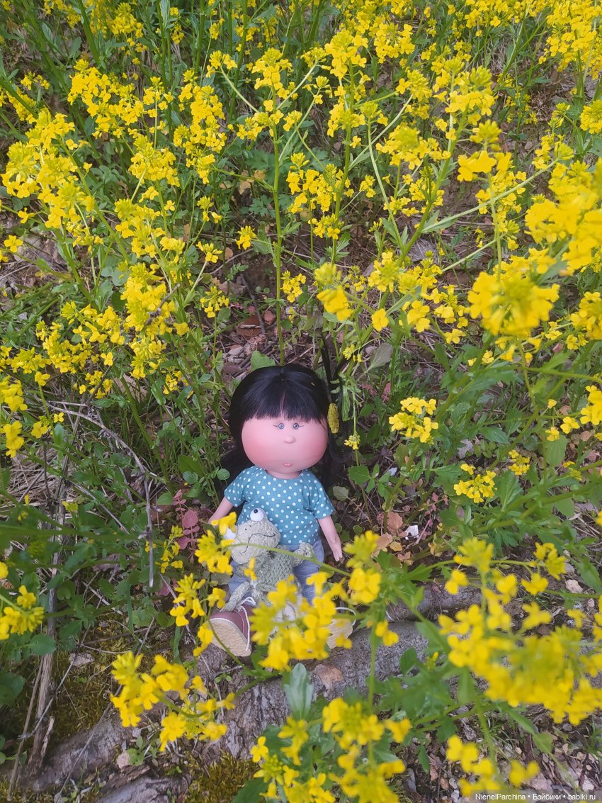 Ёсико и одуванчики, жёлтое, зелёное, май (фото 8)