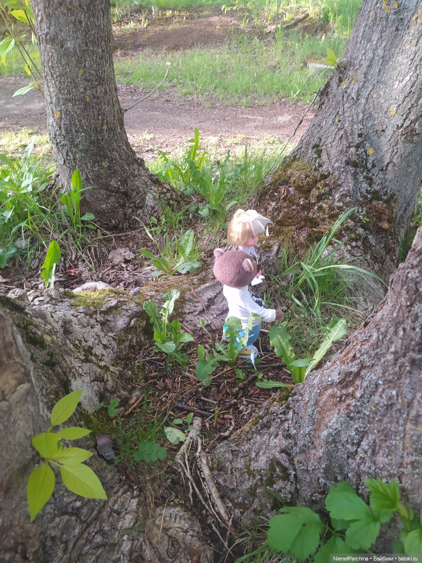 Поход за корягой | Бэйбики Поход за корягой — Плюшевые мишки и игрушки (Teddy Bear): винтаж