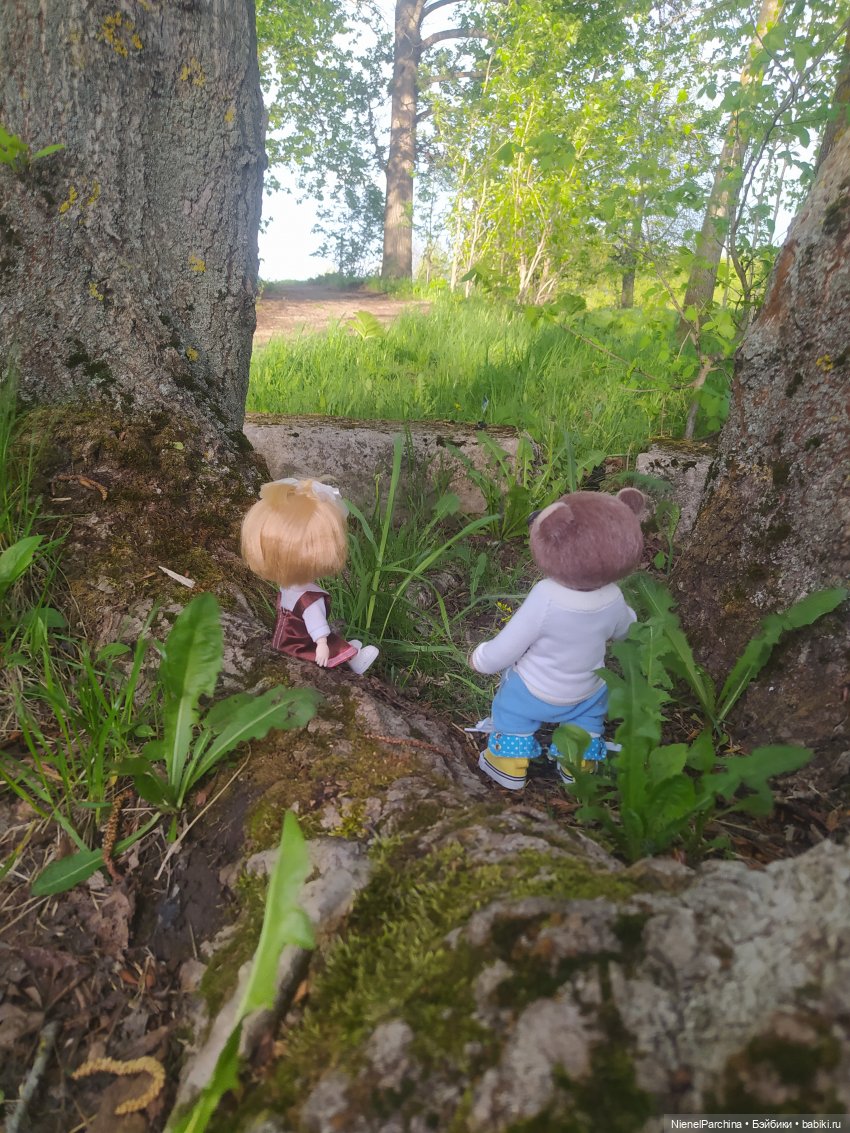 Поход за корягой | Бэйбики Поход за корягой — Плюшевые мишки и игрушки (Teddy Bear): винтаж