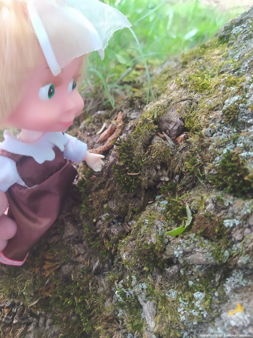 Поход за корягой | Бэйбики Поход за корягой — Плюшевые мишки и игрушки (Teddy Bear): винтаж