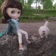 Диана и Васька, Прогулка.