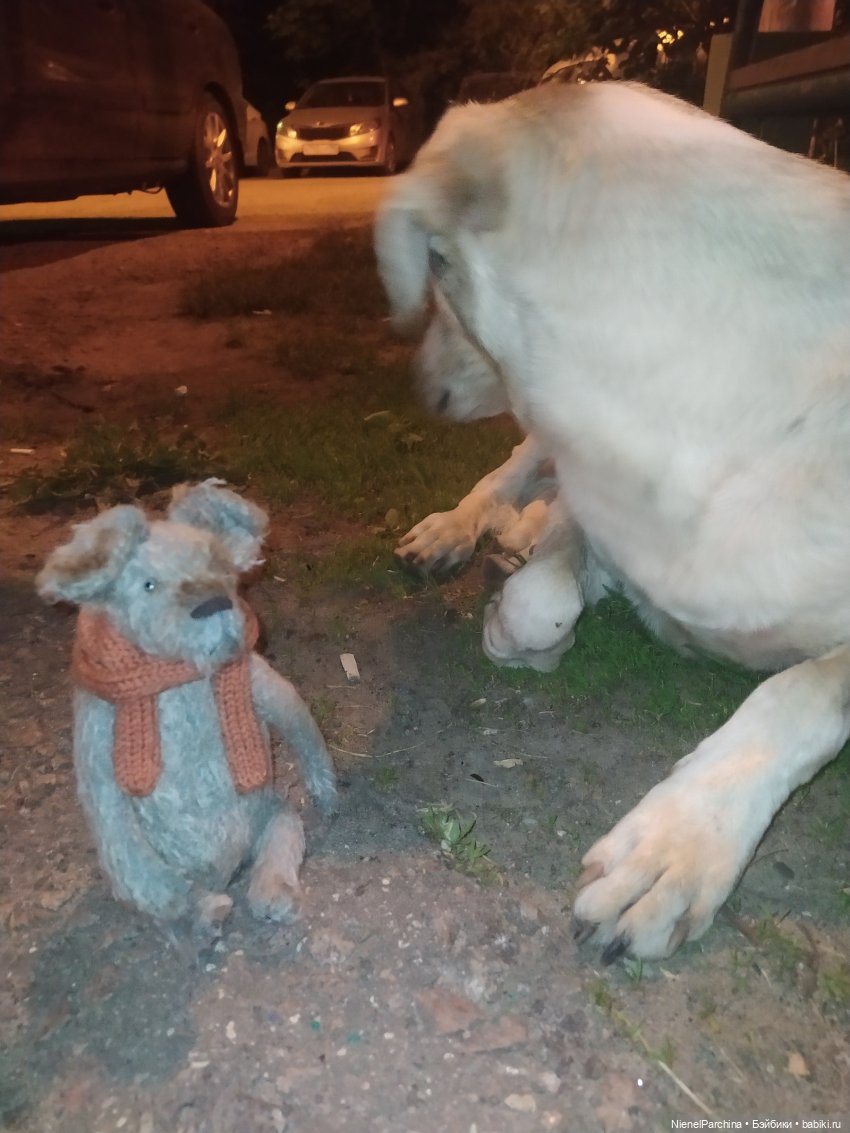 Начало дружбы. Девочка и пёс. Часть 1 (фото 2)