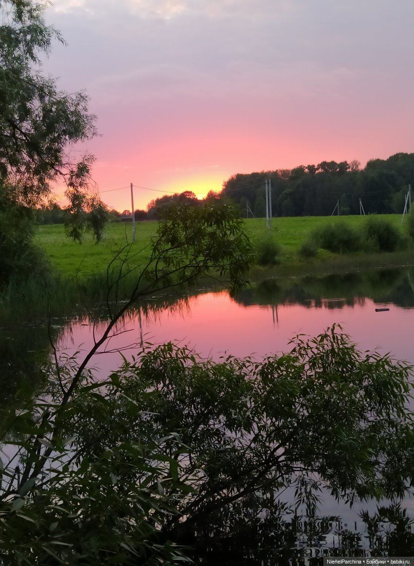 Начало дружбы. Девочка и пёс. Часть 1