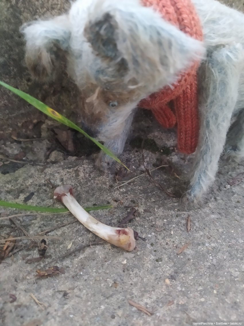 Начало дружбы. Девочка и пёс. Часть 1