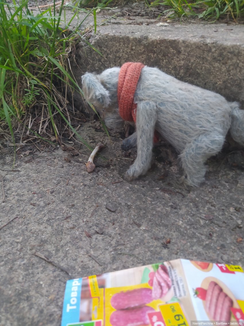 Начало дружбы. Девочка и пёс. Часть 1