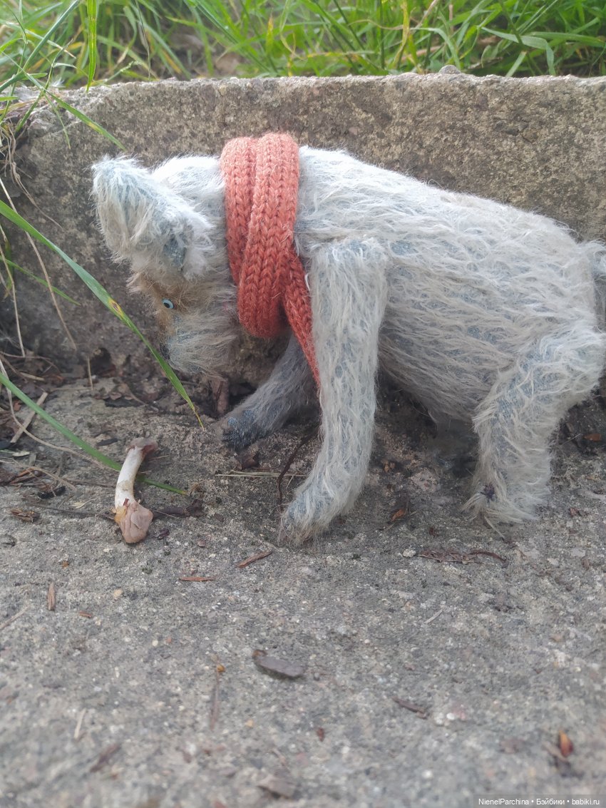 Начало дружбы. Девочка и пёс. Часть 1