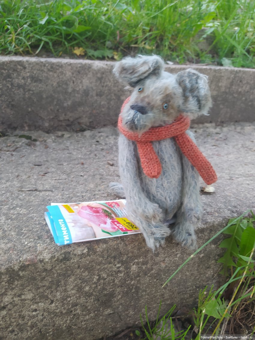 Начало дружбы. Девочка и пёс. Часть 1