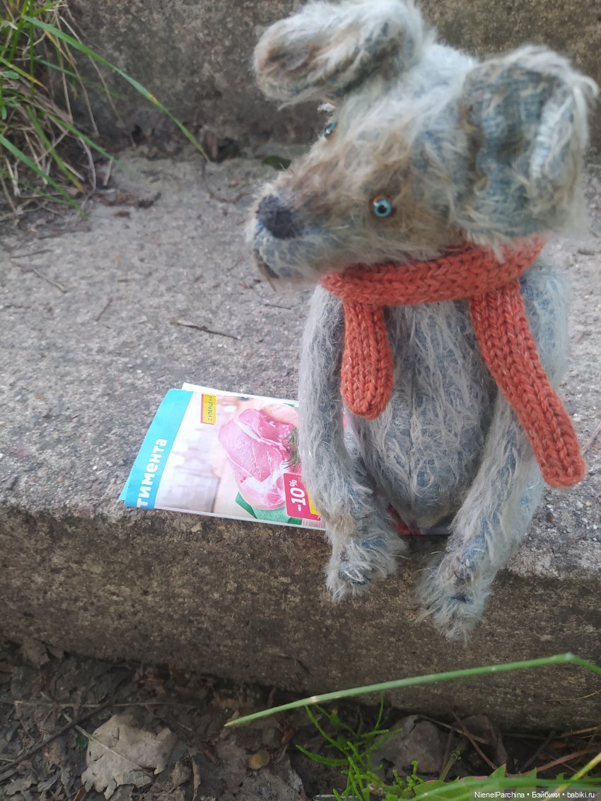 Начало дружбы. Девочка и пёс. Часть 1 (фото 8)