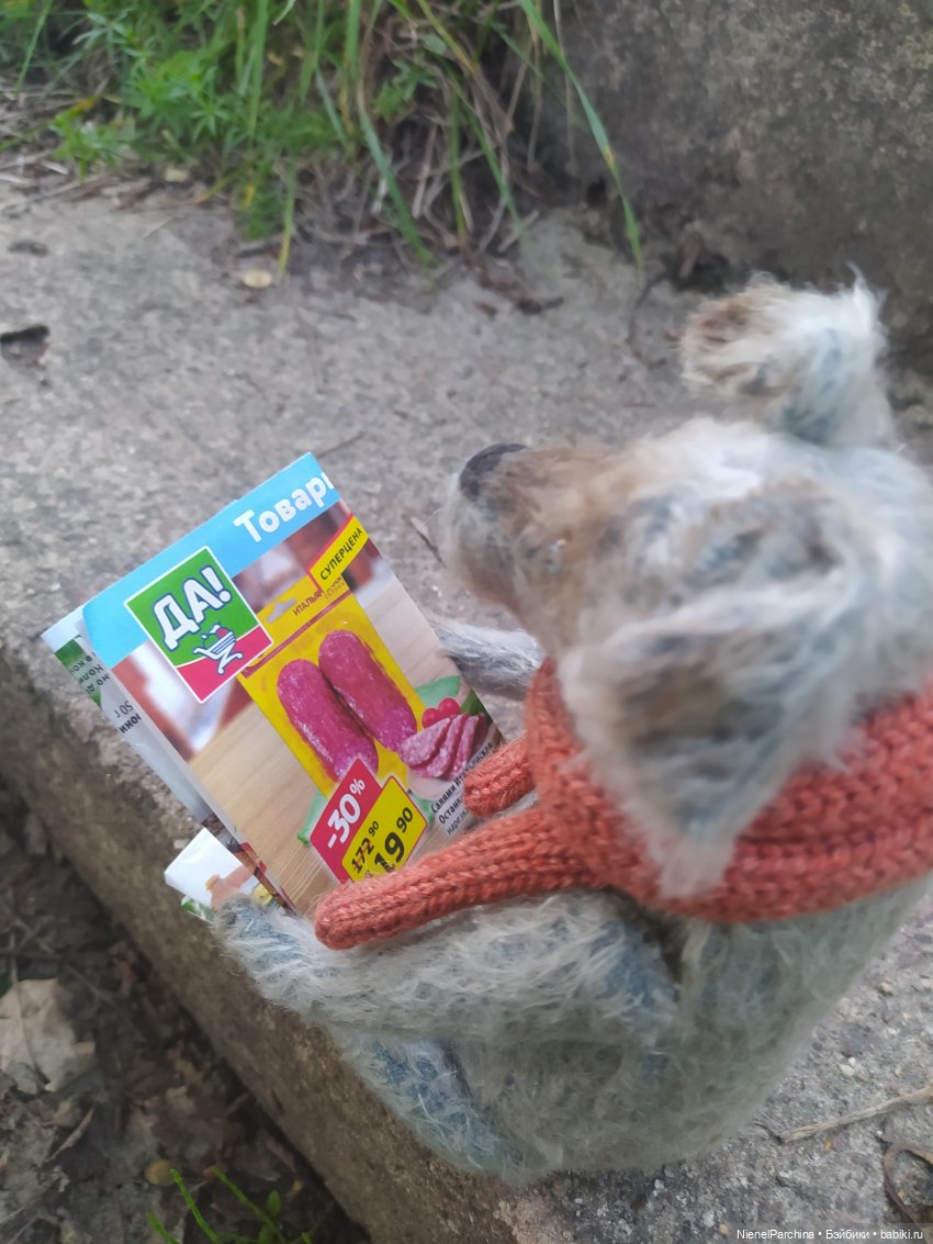 Начало дружбы. Девочка и пёс. Часть 1 (фото 10)