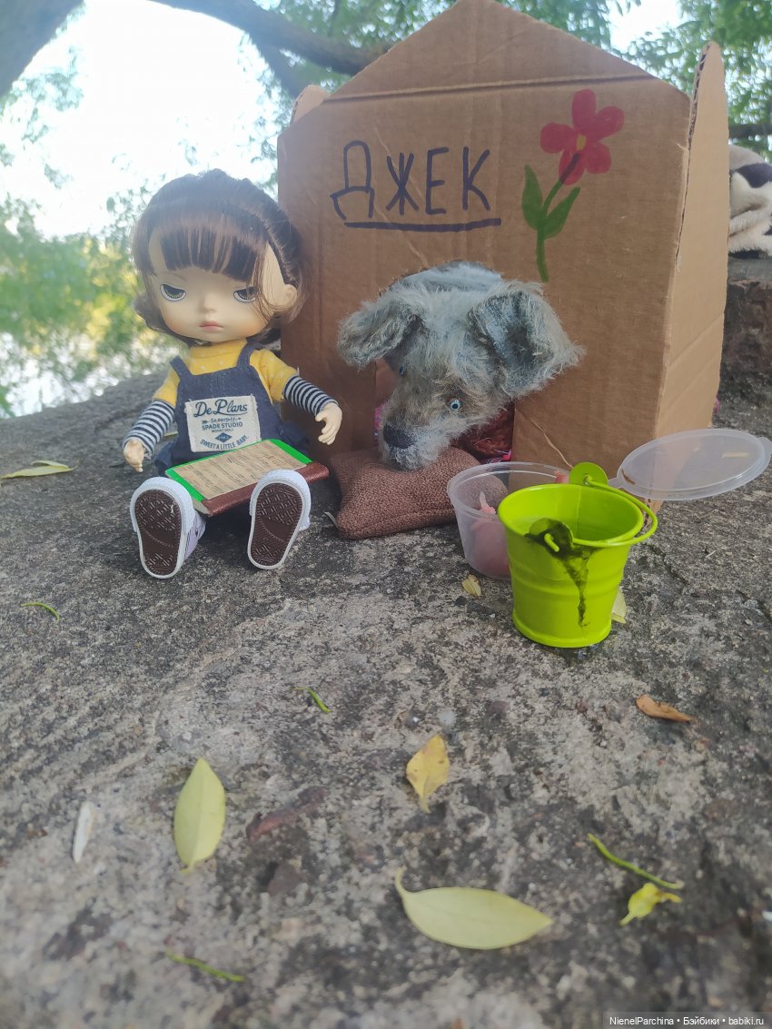 Начало дружбы. Девочка и пёс.часть 2