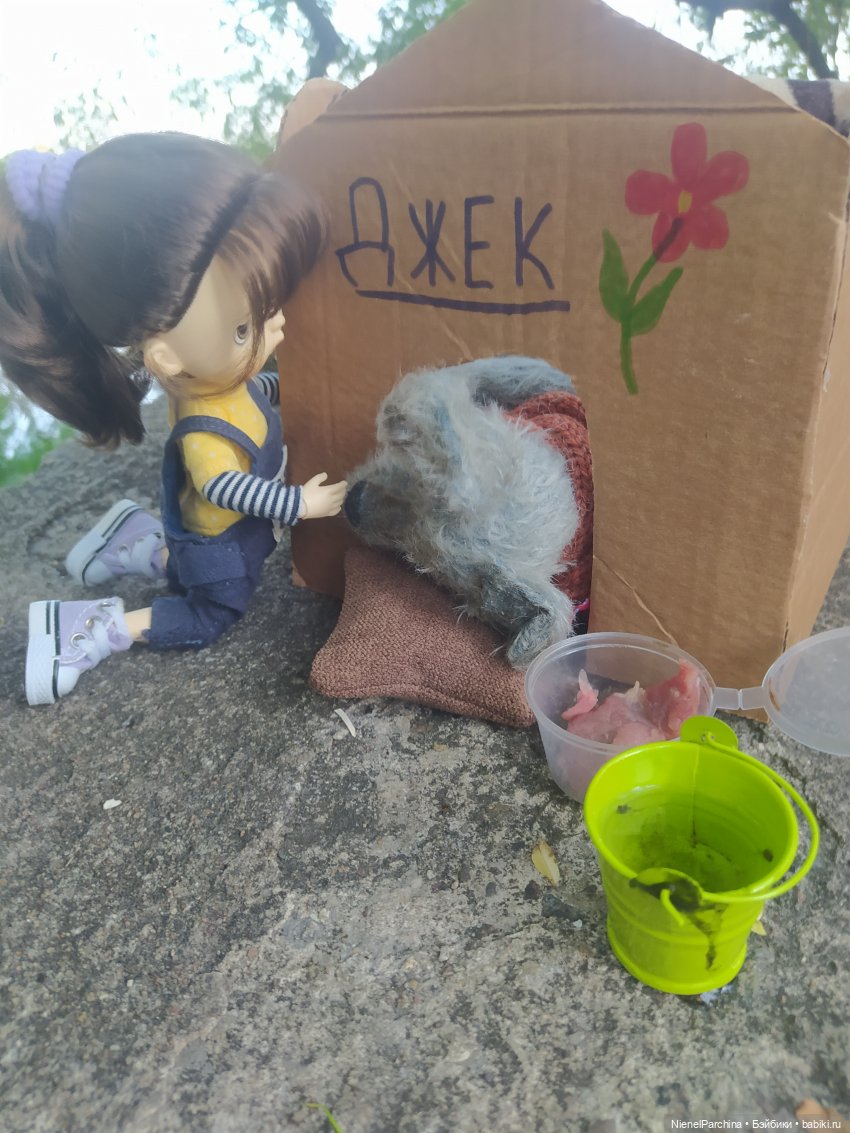 Начало дружбы. Девочка и пёс.часть 2