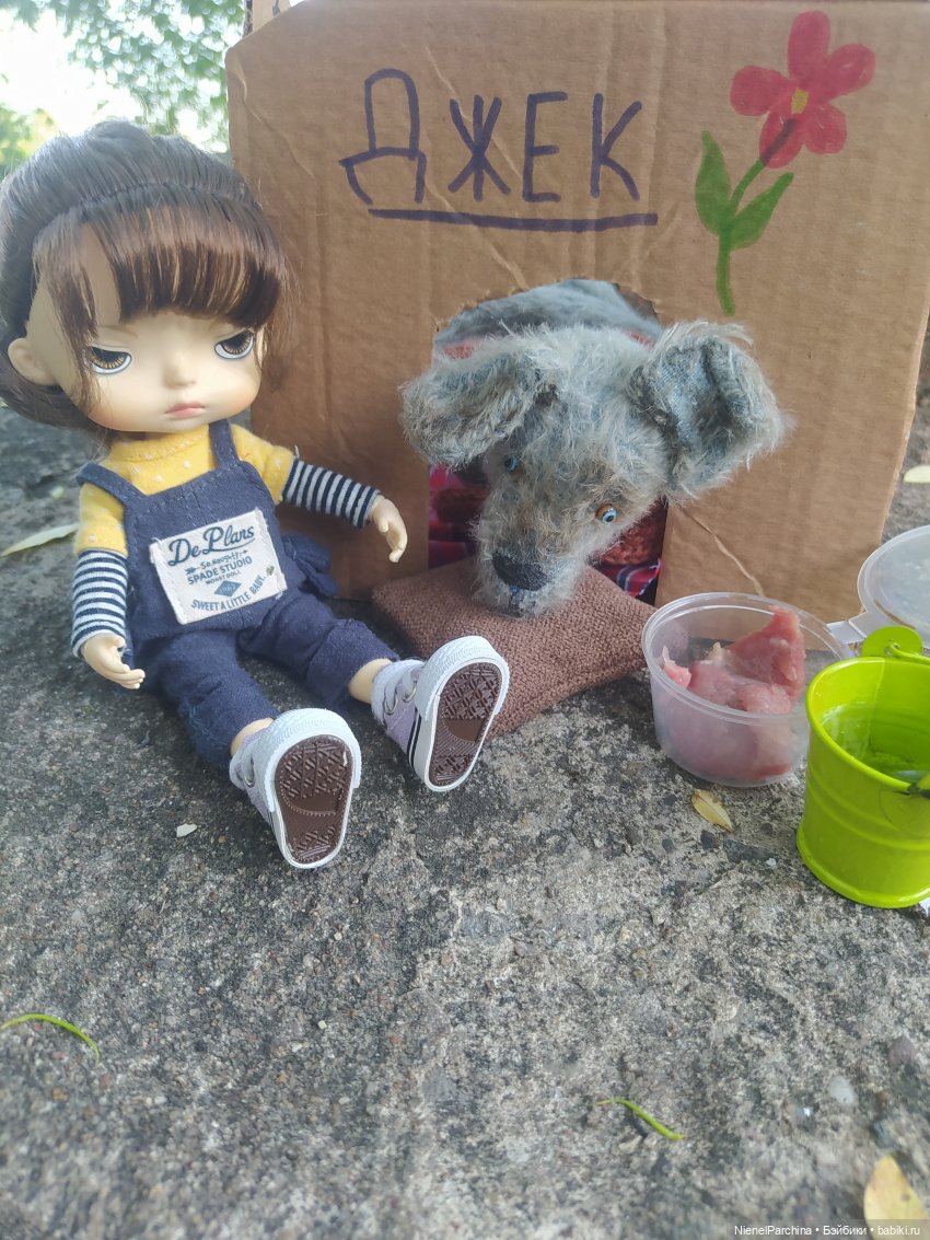 Начало дружбы. Девочка и пёс.часть 2