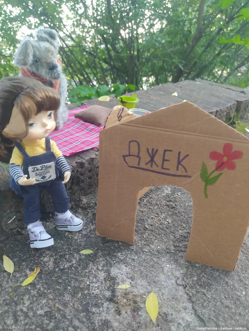 Начало дружбы. Девочка и пёс.часть 2