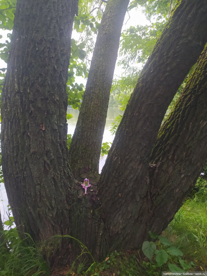 После грозы, или как найти фею