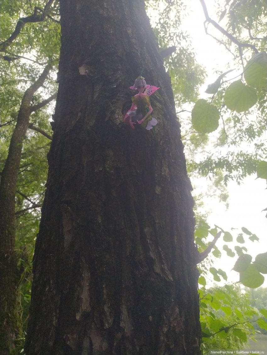 После грозы, или как найти фею (фото 5)