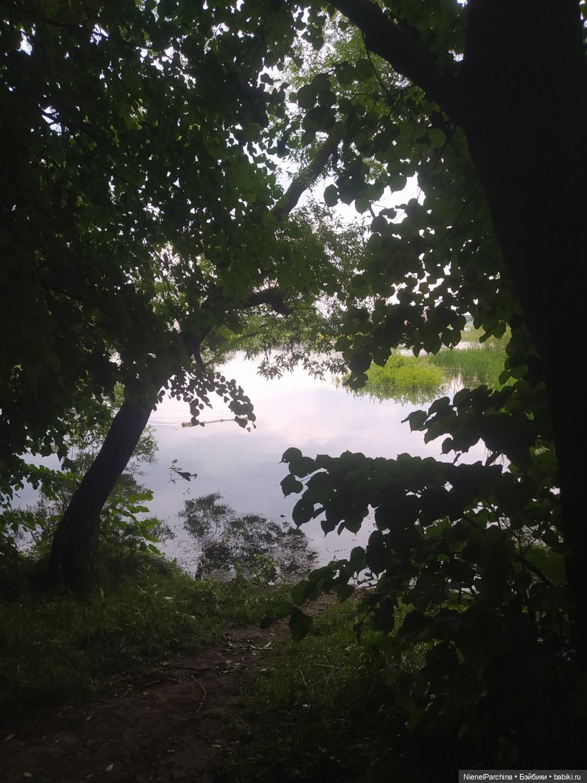 После грозы, или как найти фею (фото 4)