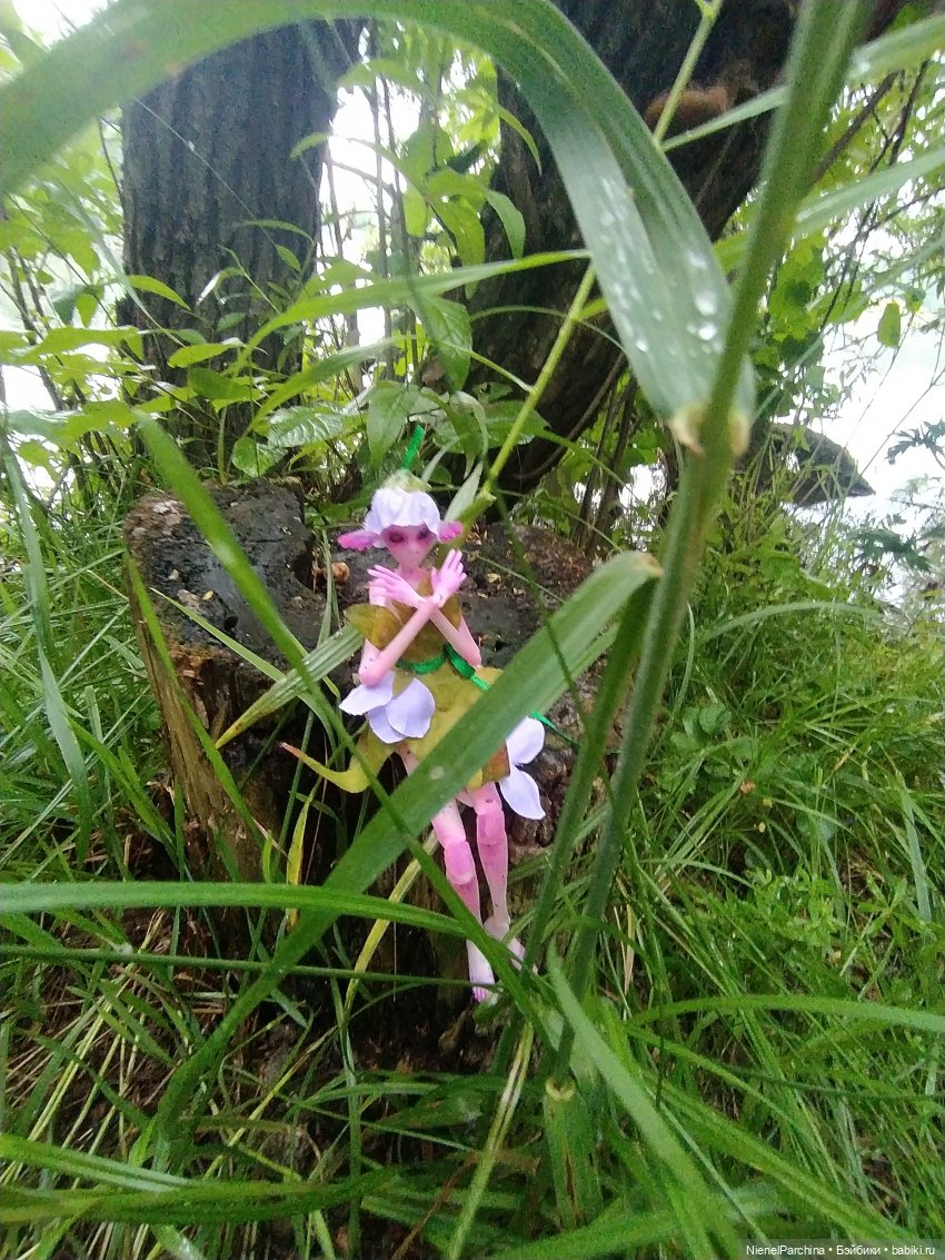 После грозы, или как найти фею