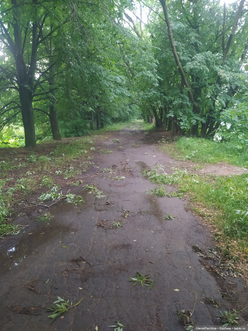 После грозы, или как найти фею (фото 3)