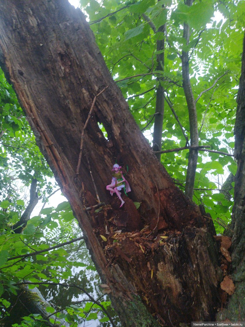 После грозы, или как найти фею