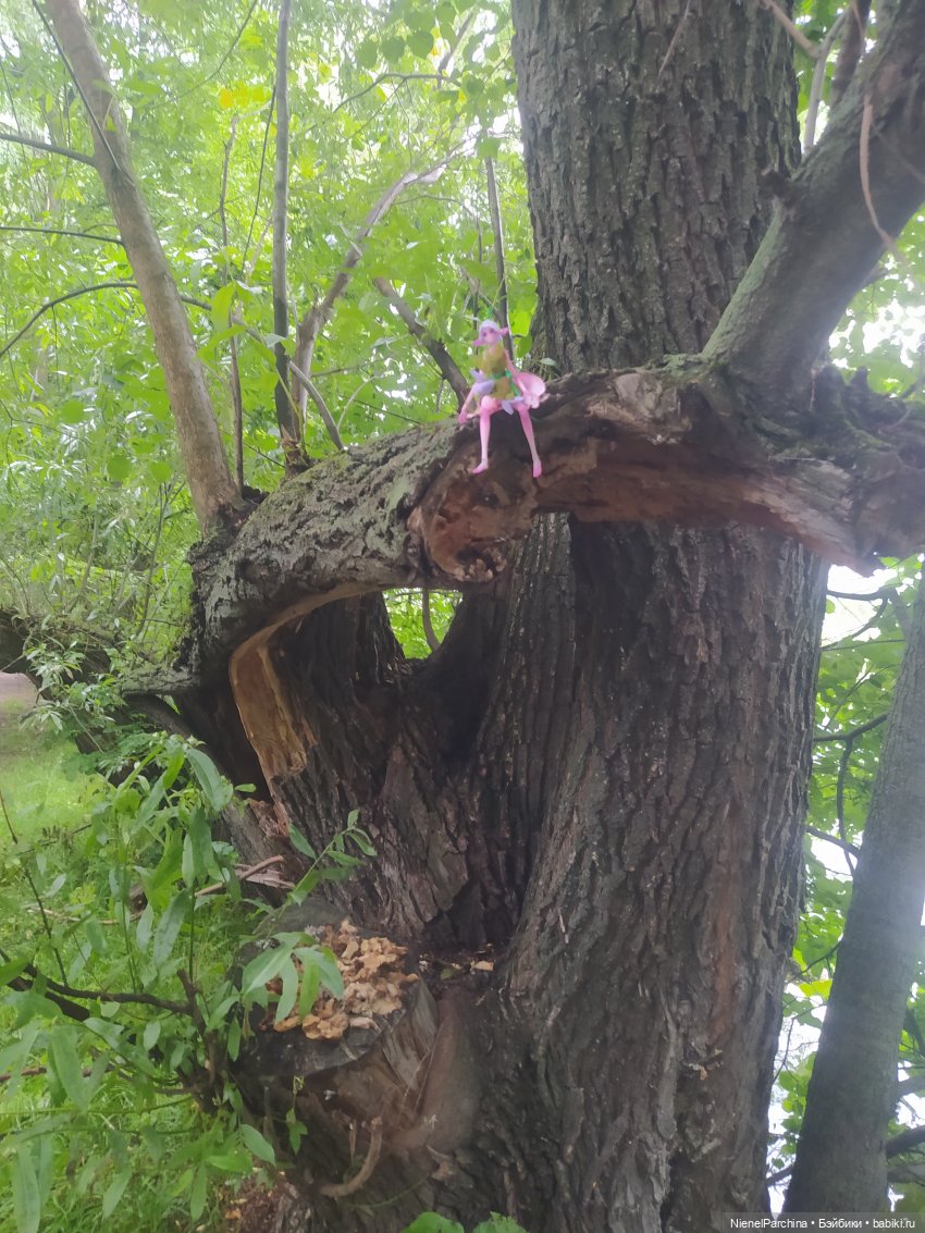 После грозы, или как найти фею