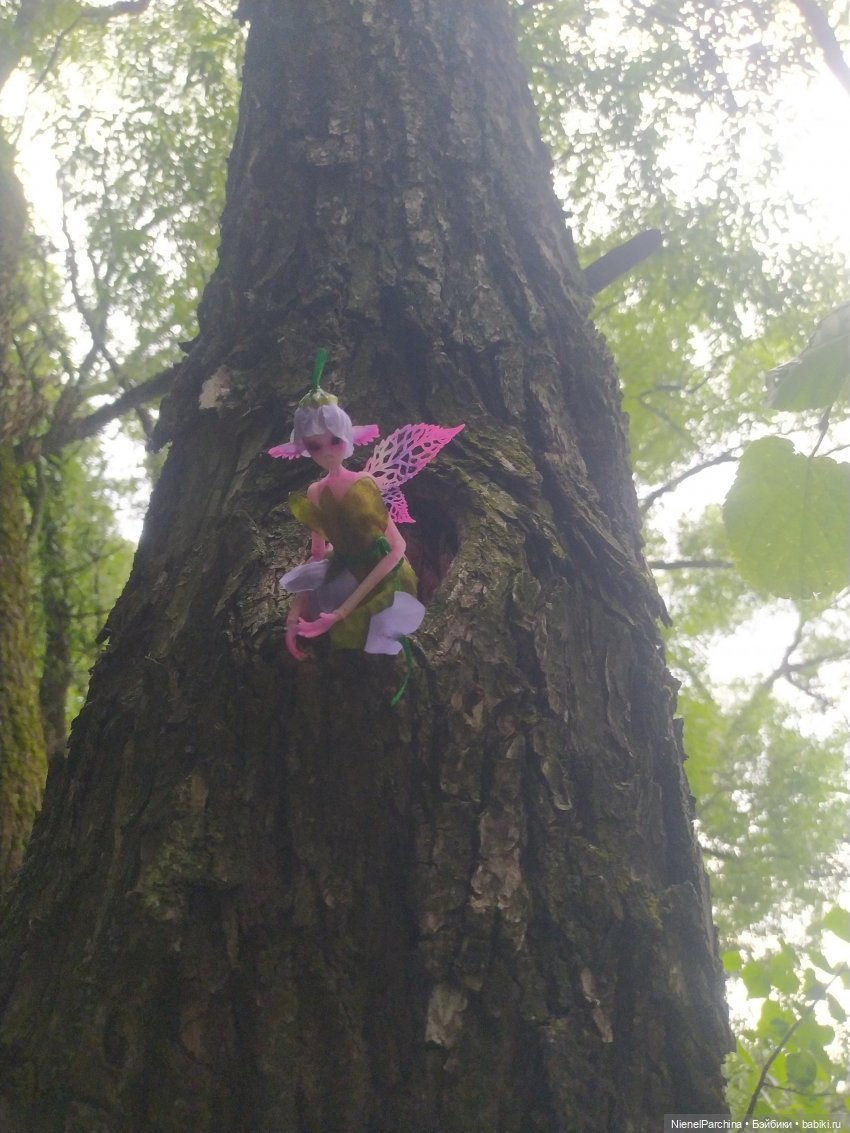 После грозы, или как найти фею (фото 6)