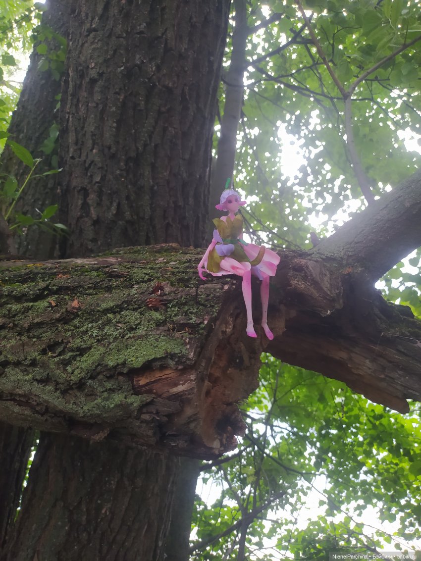 После грозы, или как найти фею