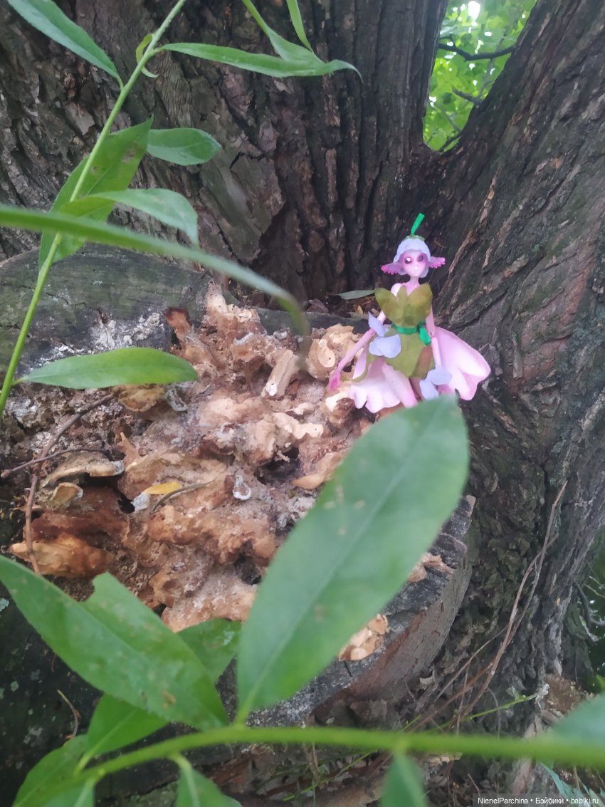 После грозы, или как найти фею