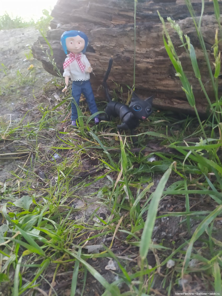 Кот который умеет ходить и тут и Там. Часть 2