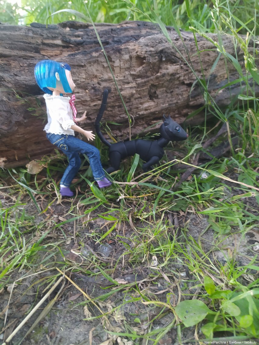 Кот который умеет ходить и тут и Там. Часть 2