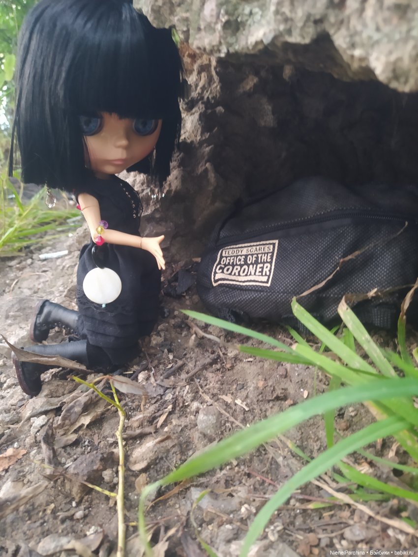 Мрачно, но позитивно — Куклы Blythe TBL (ТБЛ) и аналоги: Блюх (фото 10)