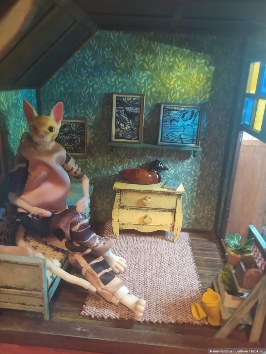 Жители румбокса "Утиная заводь"