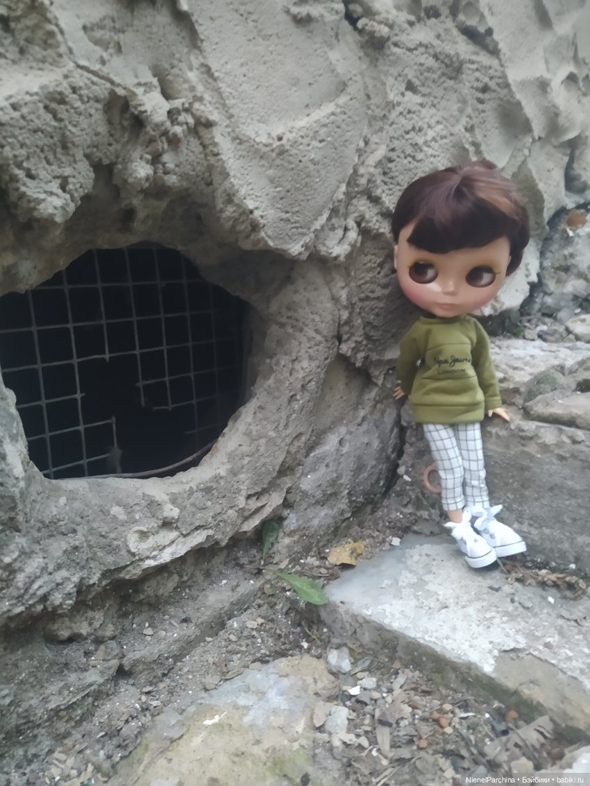 Прогулка с Олесей. Новенькая