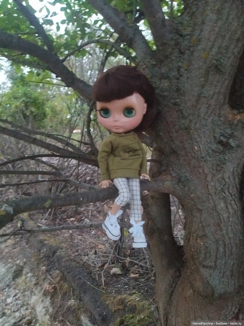 Прогулка с Олесей. Новенькая